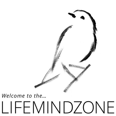 Cover: Welcome to the... LIFEMINDZONE